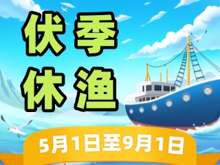 2025年威海伏季休漁政策發(fā)布！